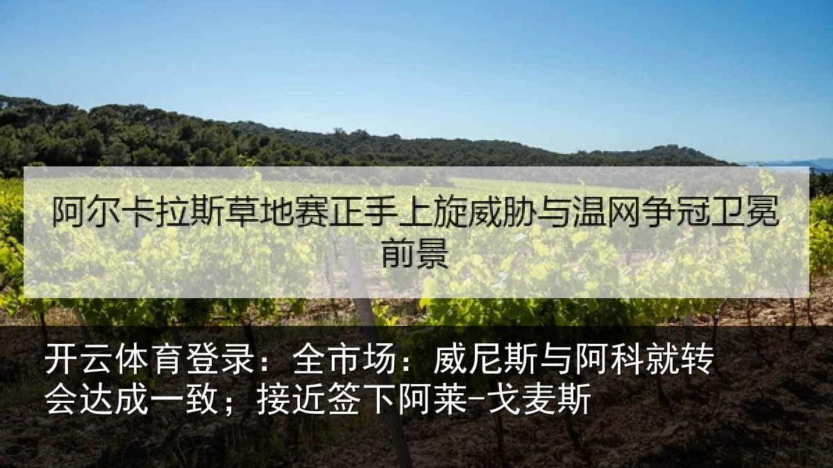 开云体育登录：全市相关情况转会相关情况阿莱-戈麦斯