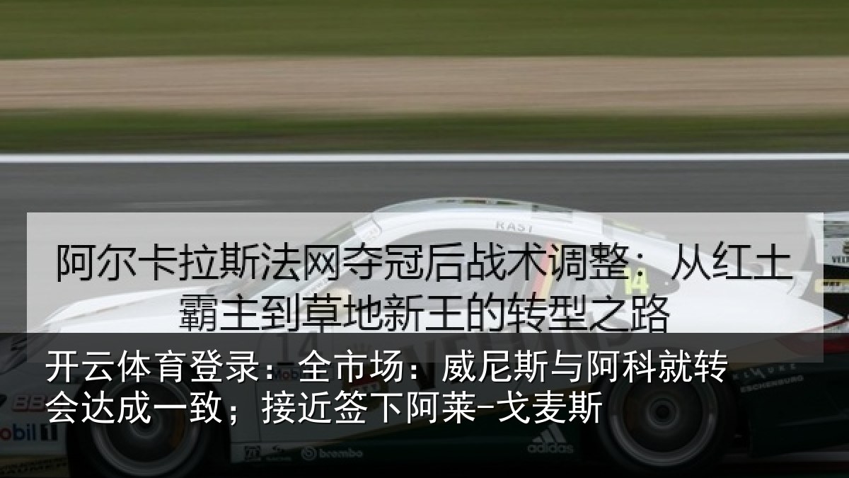 开云体育登录：全市相关情况转会相关情况阿莱-戈麦斯