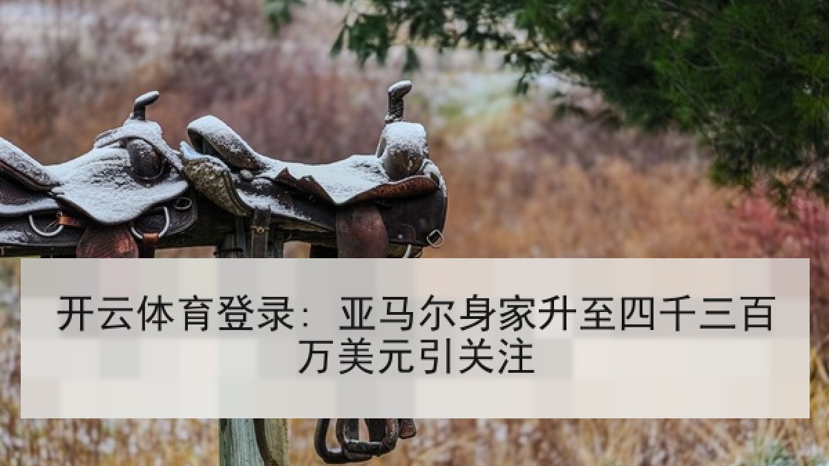 开云体育登录: 亚马尔身家升至四千三百万美元引关注