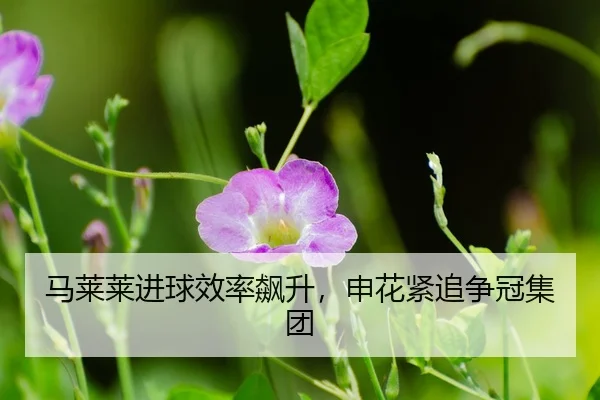 ma-lai-lai-jin-qiu-xiao-lv-biao-sheng-shen-hua-jin-zhui-zheng-guan-ji-tuan-3-286.jpg