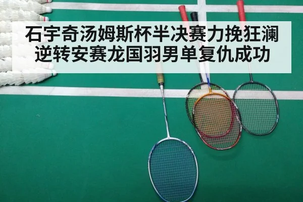 badminton match court